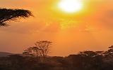 TANZANIA - Serengeti National Park - Tramonto - 1